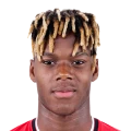 NICO WILLIAMS