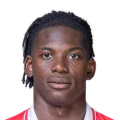 BREEL EMBOLO
